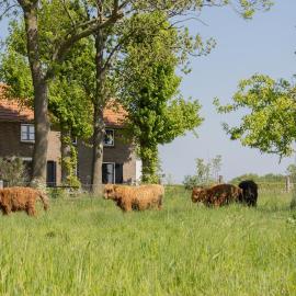 Grazelands - overnachten midden in de natuur, hotel in Keent