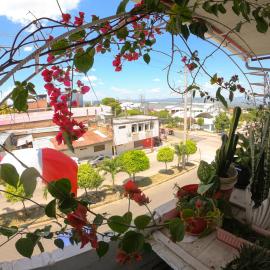 BackpackersHostel Flor del Valle, Hotel in Tarapoto