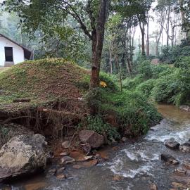 Creek Side