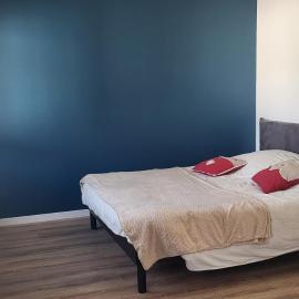 Magnifique appartement le marronnier