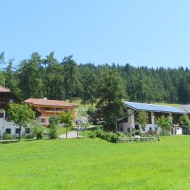 Laerchhof, hotel in Collalbo