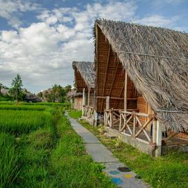 Om home hampi โรงแรมในฮัมปี