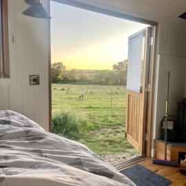 Under the Stars Shepherds Huts at Harbors Lake, hotel in Newchurch