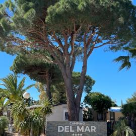 Camping Del Mar B07, Mobil home O'Hara résidentiel, 4 personnes, Camping Del Mar Village