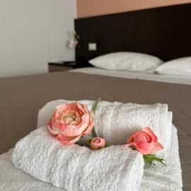 Bed & Breakfast La Rondinella