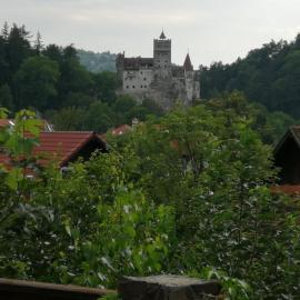 Pensiunea Transilvania Lodge, Hotel in Bran