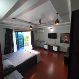 Morden AC 1bhk apartment near Cavelossim beach - Amor