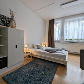 Pension am Park, hotel in Pforzheim