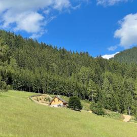 Reiterbauer Chalet, hotel di Bretstein