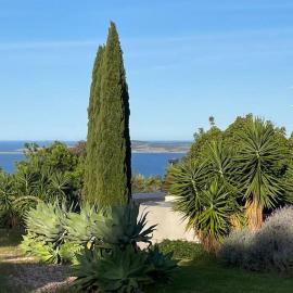 Wakelin studio guesthouse-peace, privacy, seaviews, hotel in Port Lincoln