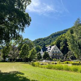 Bad Bertrich में, होटल Hotel Alte Mühle