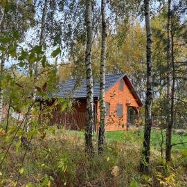 DOMEK LETNISKOWY POD BRZOZAMI na Roztoczu wśród lasów, Zamość, Krasnobród, Zwierzyniec, hotell sihtkohas AdamÃ³w