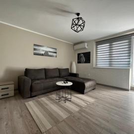 Apartman Petrov, hotel u gradu Donji Milanovac