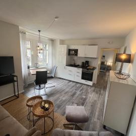 Moderne 2 Zimmer Wohnung Salina, hotel in Bad Rothenfelde