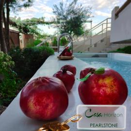 Casa Horizon
