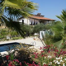 Villa NERO BIANCO, Havre de paix, oliviers, maison et piscine privées