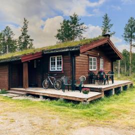 Ryen Hytteutleie - Cottages, hotell sihtkohas Røros