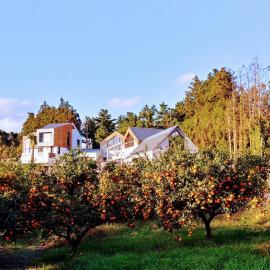 Walden Studios – hotel w mieście Seogwipo