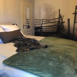 B&B Typisch Lelies, Hotel in Liessel
