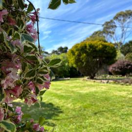 Two Twenty Two Farm Stay, hotel din Grassy