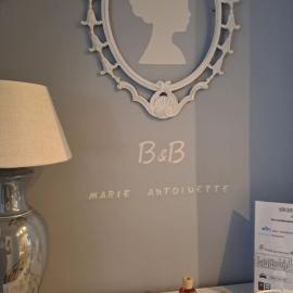 Mint House & Marie Antoinette-Pala Alpitour- Private Parking, hotel em Turim