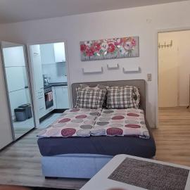 BodenSEE Apartment Friedrichshafen Rotkehlchen 27, מלון בפרידריכסהאפן