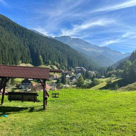 Matei Moieciu De Sus, hotel i Moieciu de Sus