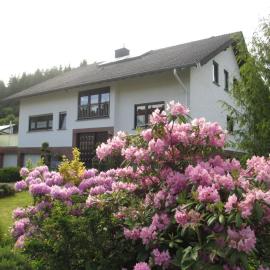 Ferienwohnung-Lind, hotel a Wimbach