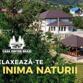 Casa Dintre Brazi, hotel v destinácii Nemţişor