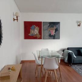 Departamento Providencia amplio y cómodo excelente ubicación