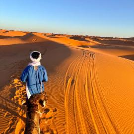 Fantastic Luxury Dunes Camp