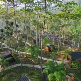 Bobocabin The Tavia, Puncak