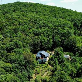 Beauty Wood House in The Forest、Vîlcăneştiのホテル
