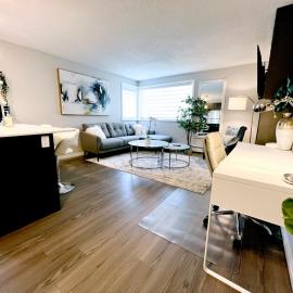 Modern Hub - Central Location, Budget & Pet OK