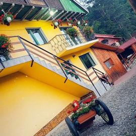 Casa Delia, hotel in Slănic-Moldova