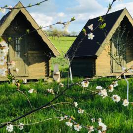 Pensiune Rozalia - Camping, Hotel in Criţ
