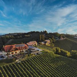 Mahorko Wein Wellness Wasserbüffel, hotell sihtkohas Glanz an der Weinstraße