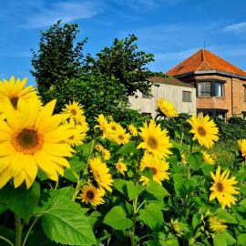 Vakantiehuis Louiselotte