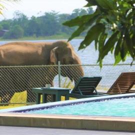Hotel Lake Park: Polonnaruwa şehrinde bir otel