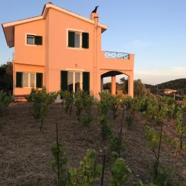 Les Oliviers Sunset Villa Sea view on Petani Beach