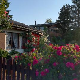 Jolie chambre dans chalet, hotel en Le Vaud