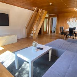 Apartmenthaus Selbitz, Hotel in Selbitz