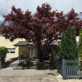 Apartmentvermietung Ingrid Bolkart - Kirchblick 1, hotel a Illertissen