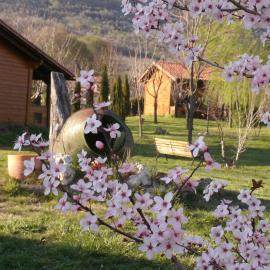 Apartamentos Rurales El Rincón del Jerte, hotel em Rebollar