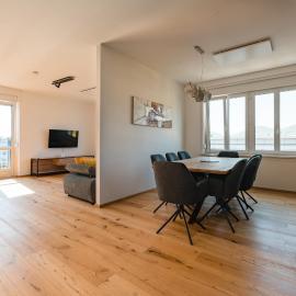 TAMLiving Center Luxury 4 rooms Smart TV Kitchen Great View، فندق في غراتس