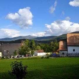 Berggasthof Lusen, hotel a Neuschönau