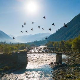 Riverfront Retreat - Qaraar - Preng by VEO - Part of StayVista, hotel in Srinagar