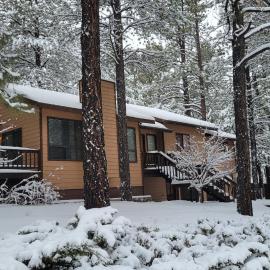 Peaceful Flagstaff Cabin, Hot Tub, King Bed, Near NAU