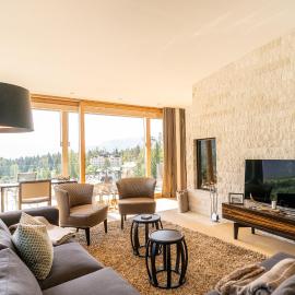 Edelweiss Mountain Suites 07-08