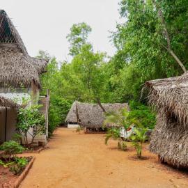 Nebula Nest Cafe & Hostel, hotel i Auroville